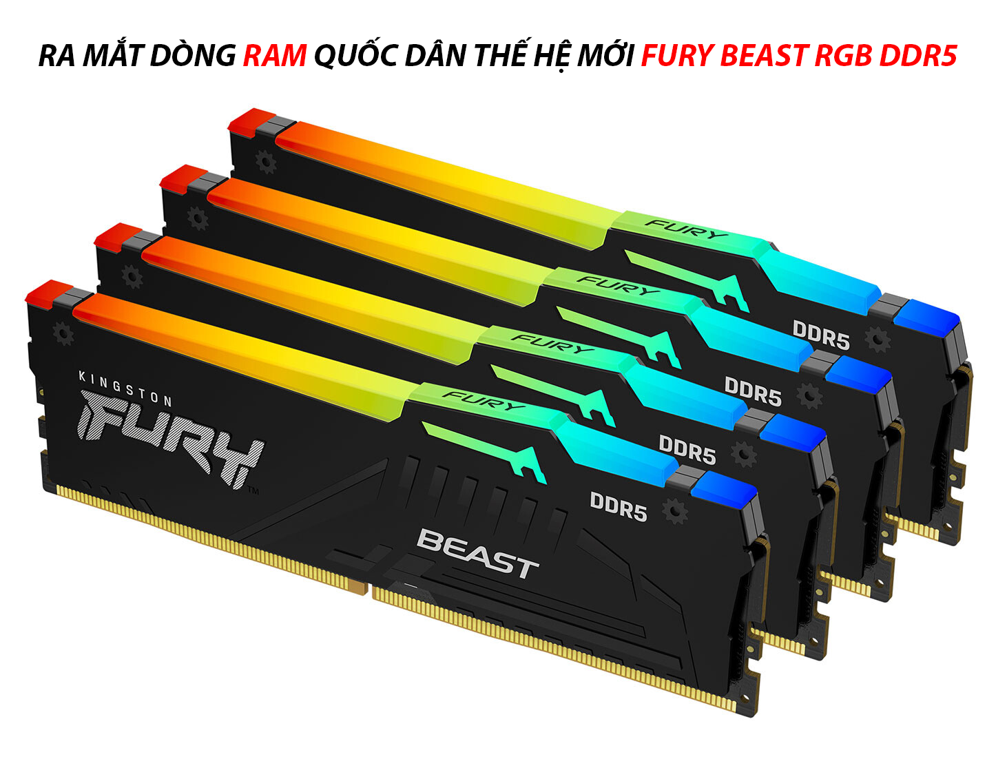 Kingston ra mắt dòng RAM quốc dân thế hệ mới FURY Beast RGB DDR5