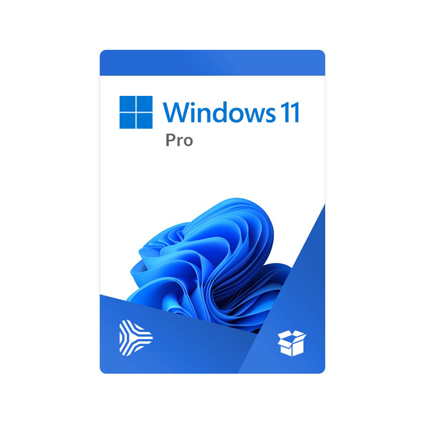 Windows 11 Pro 64Bit Eng Intl 1pk DSP OEI DVD (FQC-10528) 1