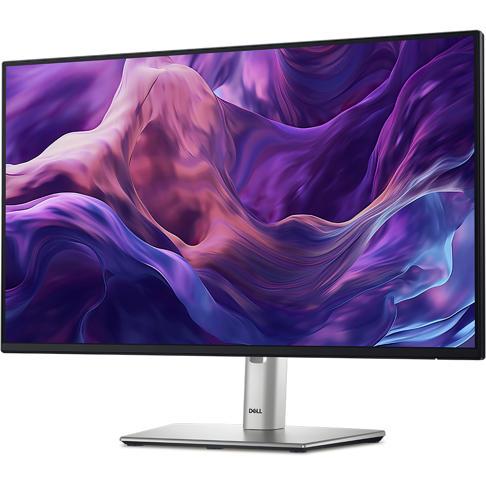 Màn Hình Dell P2425H (23.8 inch - FHD - IPS - 100Hz - 5ms - USB TypeC) 2