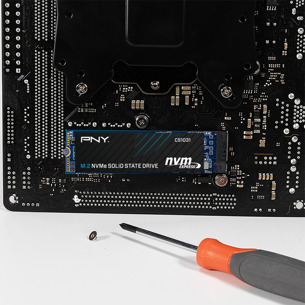 Ổ cứng SSD PNY CS1031 500GB NVMe M.2 2280 PCIe Gen 3.0 x4 (M280CS1031-500-CL) 2