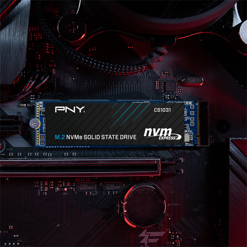 Ổ cứng SSD PNY CS1031 500GB NVMe M.2 2280 PCIe Gen 3.0 x4 (M280CS1031-500-CL) 3
