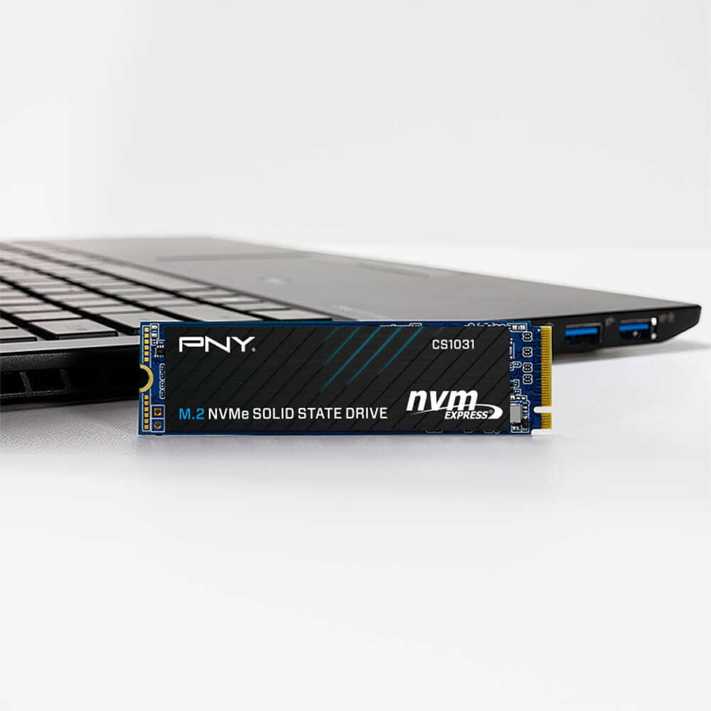 Ổ cứng SSD PNY CS1031 500GB NVMe M.2 2280 PCIe Gen 3.0 x4 (M280CS1031-500-CL) 5
